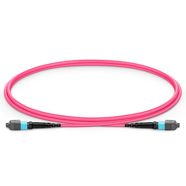 MTP® Jumper, MTP®-12 UPC (Female) to MTP®-12 UPC (Female), 12 Fibers, Multimode (OM4), Plenum (OFNP), 0.35dB Max, Type B, Magenta