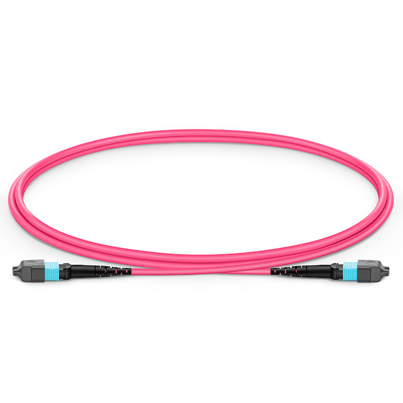 MTP® Jumper, MTP®-12 UPC (Female) to MTP®-12 UPC (Female), 12 Fibers, Multimode (OM4), Plenum (OFNP), 0.35dB Max, Type B, Magenta