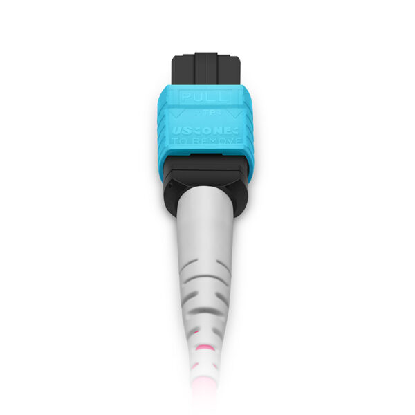 1m (3ft) MTP® Harness, MTP®-8 UPC (Female) to 4 LC UPC Duplex, 8 Fibers, Multimode (OM4), Plenum (OFNP), 0.35dB Max, Type B, Magenta - Image 3