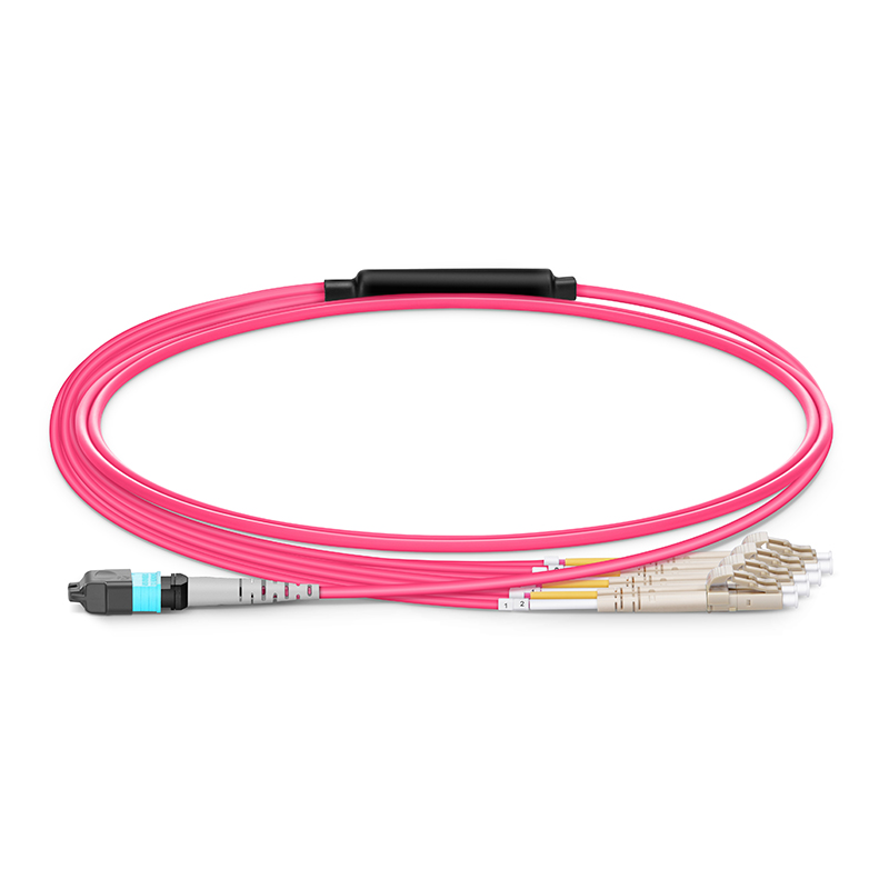 1m (3ft) MTP® Harness, MTP®-8 UPC (Female) to 4 LC UPC Duplex, 8 Fibers, Multimode (OM4), Plenum (OFNP), 0.35dB Max, Type B, Magenta