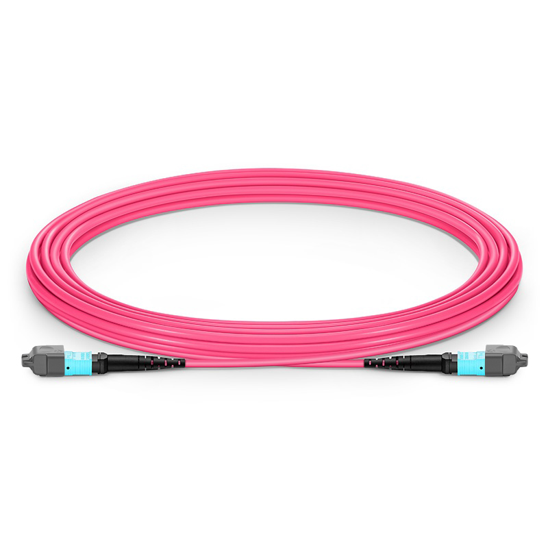 5m (16ft) MTP® Jumper, MTP®-12 UPC (Female) to MTP®-12 UPC (Female), 12 Fibers, Multimode (OM4), Plenum (OFNP), 0.35dB Max, Type A, Magenta
