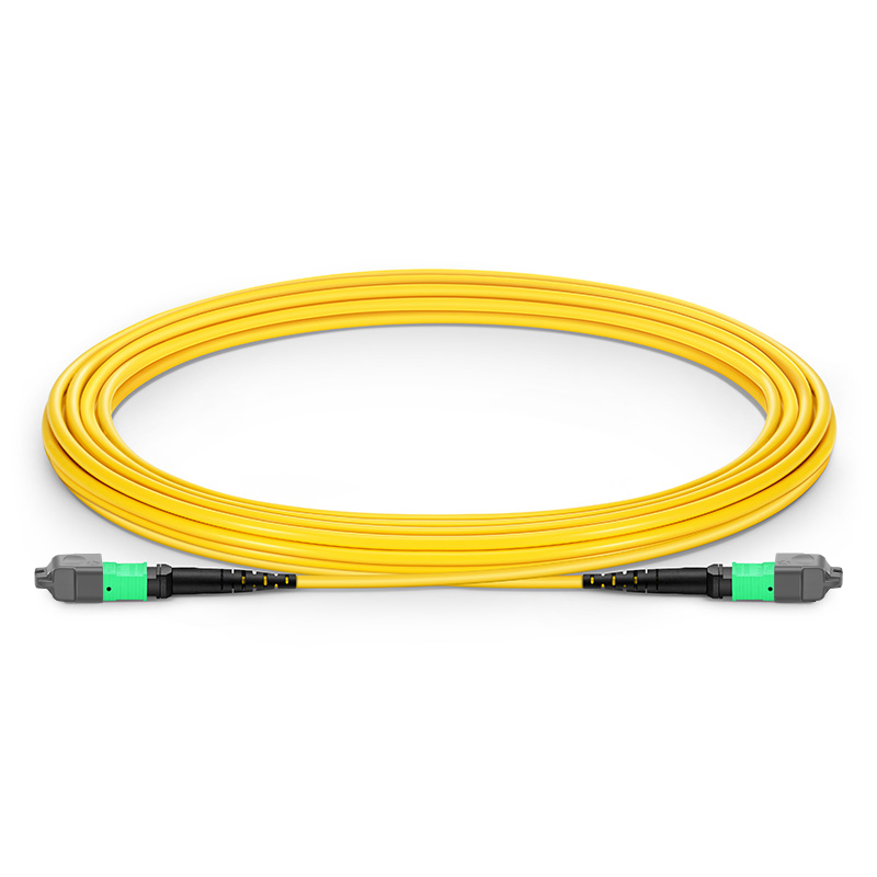 5m (16ft) MTP® Jumper, MTP®-12 APC (Female) to MTP®-12 APC (Female), 12 Fibers, Single Mode (OS2), Plenum (OFNP), 0.35dB Max, Type A, Yellow