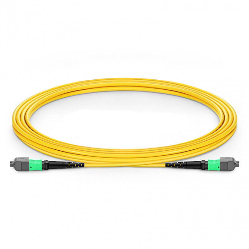3m (10ft) MTP® Jumper, MTP®-12 APC (Female) to MTP®-12 APC (Female), 12 Fibers, Single Mode (OS2), Plenum (OFNP), 0.35dB Max, Type B, Yellow